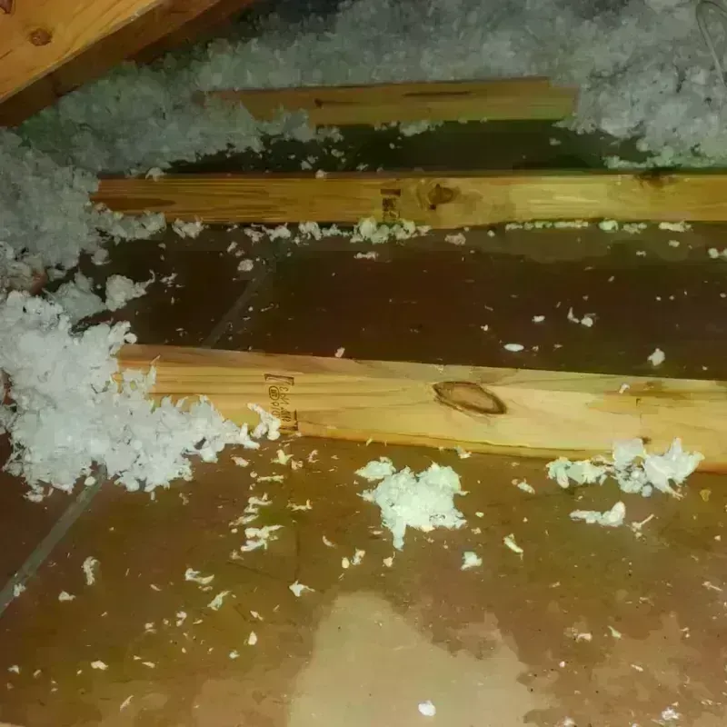 Attic Water Damage in White Oak, OH