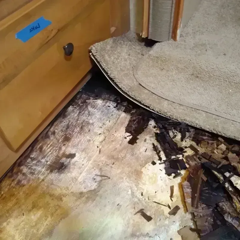 Best Wood Floor Water Damage Service in White Oak, OH